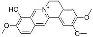 Palmatrubine
